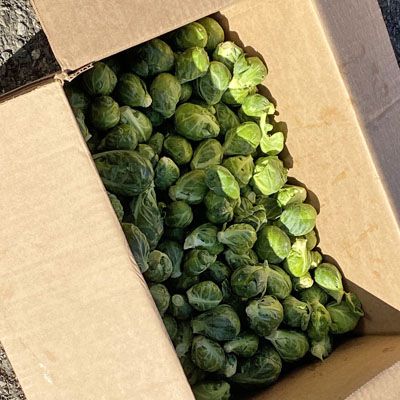 Brussel Sprouts - 15 lb. Case